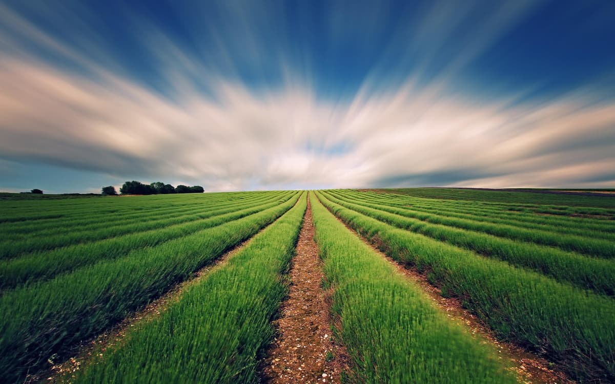 The Future of Natural Farming in India