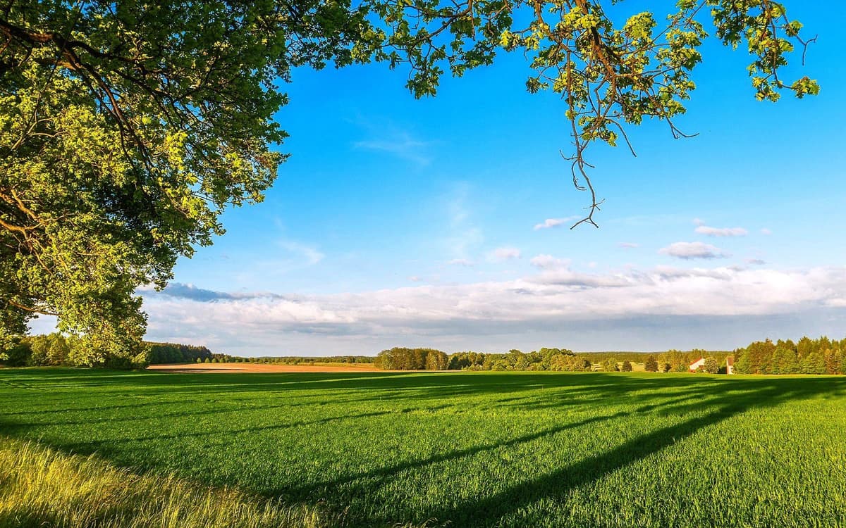 Maximizing Returns with Integrated Farming