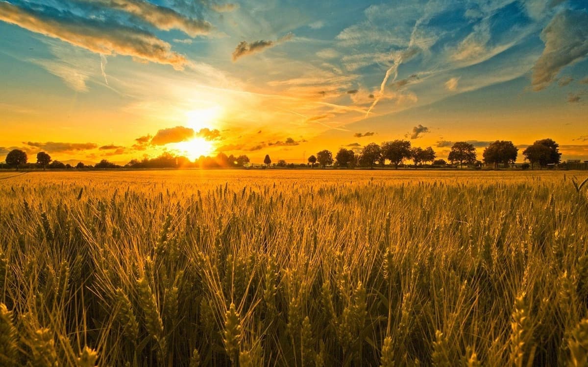 Why Farmland is the Smartest Asset Class