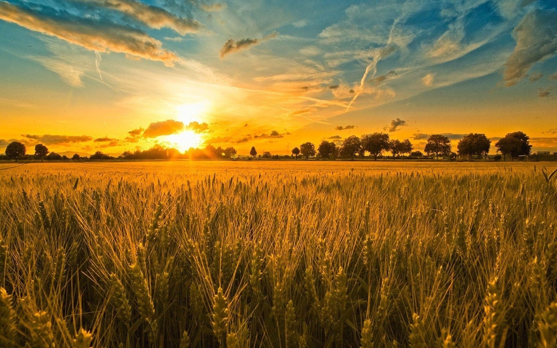 Why Farmland is the Smartest Asset Class